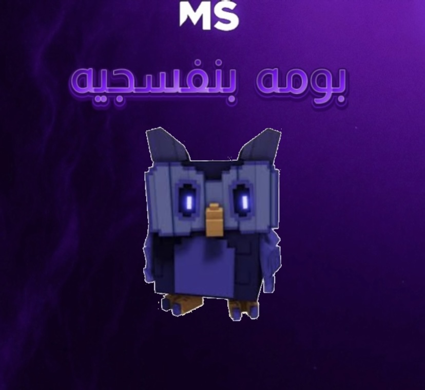 بومه بنفسجيه ماب المزرعه