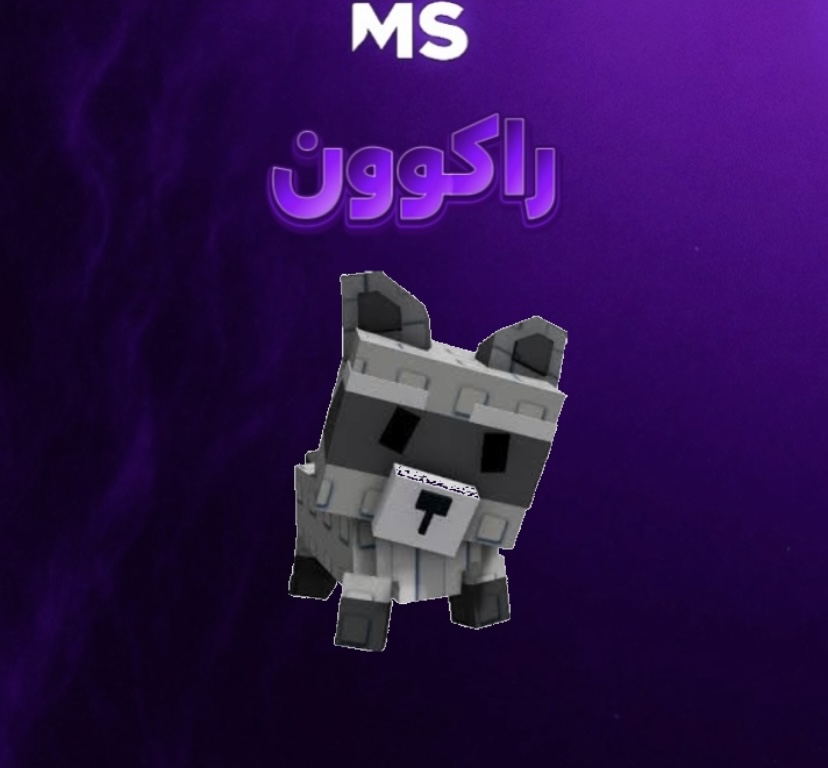 الراكون -ماب المزرعه